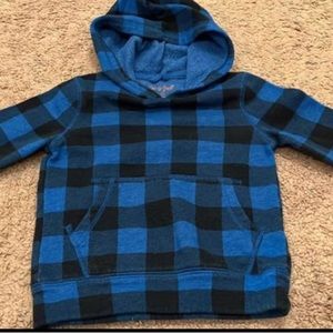 Cat and jack hoodie size 2T